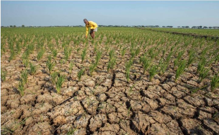 8 Daerah di Jatim Siaga Darurat Kekeringan